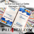 What Is Kamagra Jelly 100Mg kamagra1
